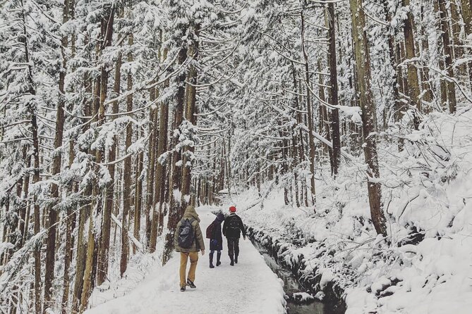 1-Day Snow Monkeys, Zenko-ji Temple & Sake in Nagano - Is $151.88 good value?