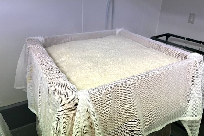 Cultural Sake Brewery Private Tour & Unlimited Tasting Near Tokyo - The 40-minute tasting and its unusual sake