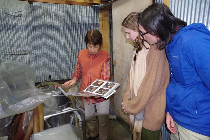 Explore Matsumoto: Castle, Sake & Taste of Local Life - Is $112 a fair price?