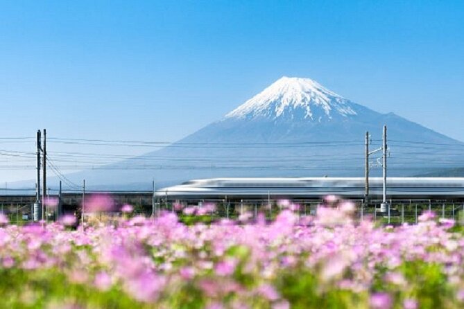 Feel Mt Fuji and Sake Tasting Private Tour from in Shizuoka - What the $473.09 price really covers