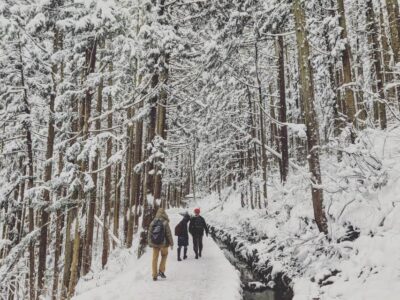 Snow Monkeys and Zenko-ji Day Trip & Sake
