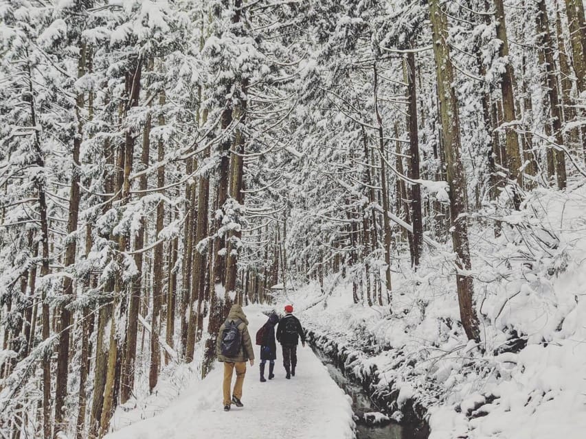 From Nozawa Onsen: Snow Monkeys and Zenko-ji Day Trip & Sake - The morning ride to Jigokudani Monkey Park
