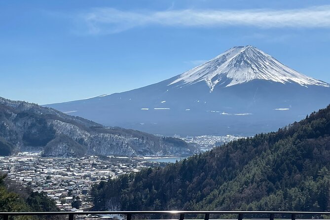 Mt FUJI - Panoramic Tour w/ Hoto Lunch, JP Sake & Onsen tatto OK! - Key Points to Know Before You Book