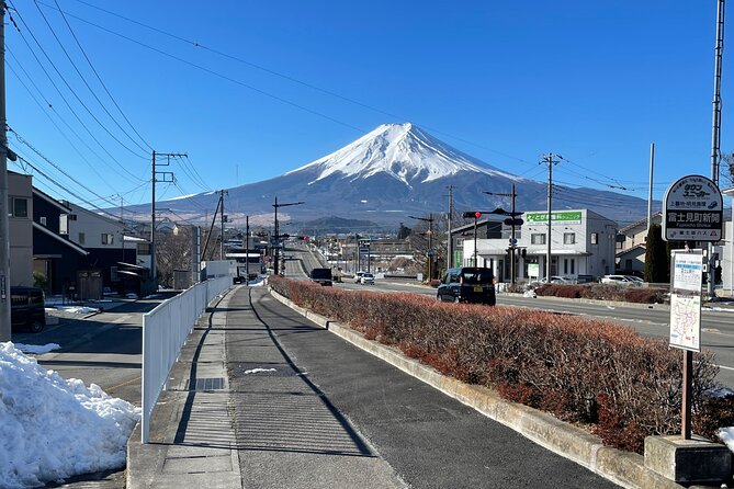Mt FUJI - Panoramic Tour w/ Hoto Lunch, JP Sake & Onsen tatto OK! - Why the Small Group Matters on a 10-Hour Fuji Day