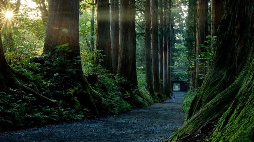 Nagano: Togakushi Shrine, Sake & Zenkoji Private Tour - Is $190 per person a fair price?