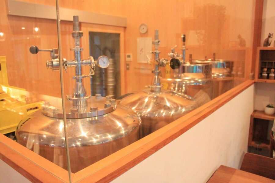 Nara - Craft Beer, Sake, and Food Walking Tour - Harushika and the sake lesson