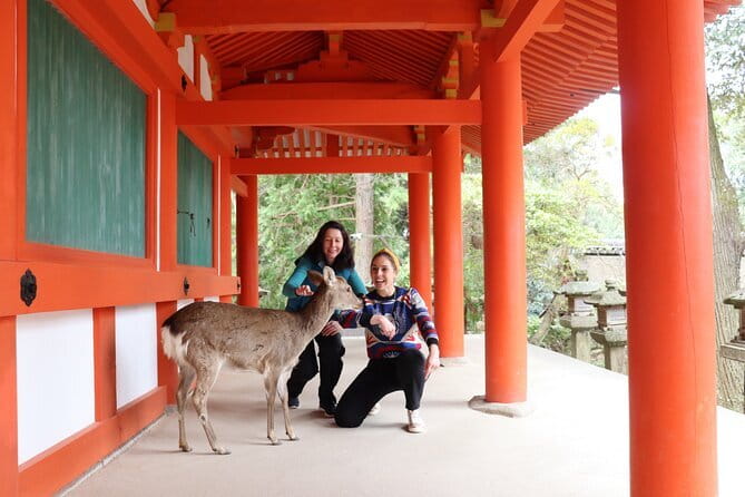 Nara Sake Tasting Tour at Local Brewerie(tasting fee included) - Price, group size, and the question of value
