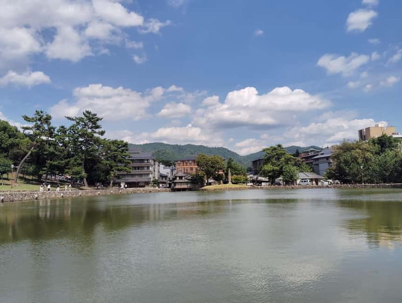 Nara: Sake Tasting Tour at the Birthplace of Japanese Sake - Flavors from crisp and dry to rich and mellow