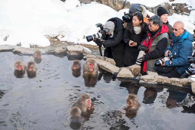 Private Nagano 1-Day Tour:Snow Monkeys,Zenko-ji,Obuse,Sake,Onsen - Hokusai Museum and Obuse’s artistic side