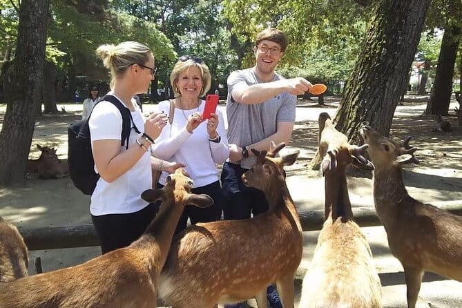Private Nara Tour and Sake Tasting (Departing from Kyoto/Nara) - Nigatsu-do and the view over Nara