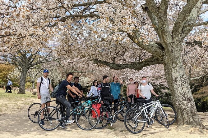Private Nara Tour and Sake Tasting (Departing from Kyoto/Nara) - Tamukeyama Hachimangu, where Buddhist and Shinto traditions meet