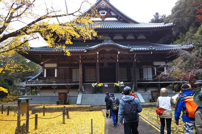 Private Sake Brewery Tour and Shinran Temple Visit - What makes this Kasama walk worth your time