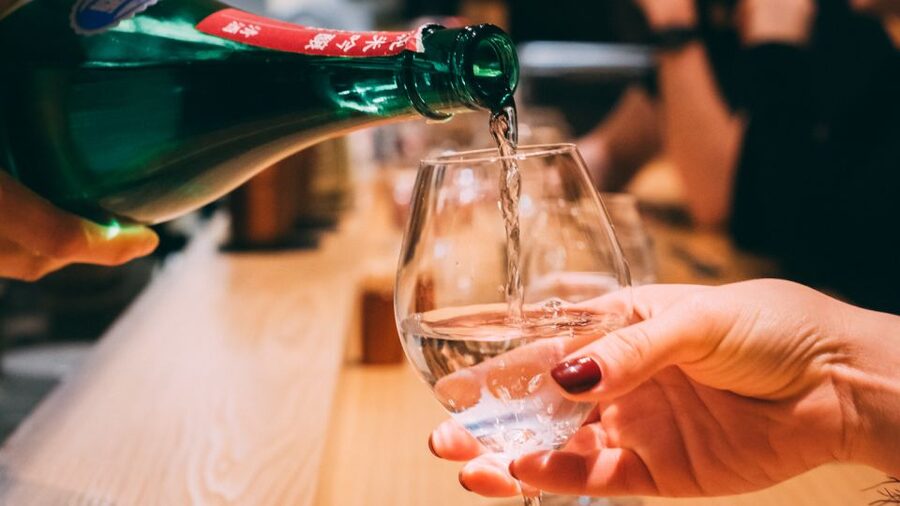 Sake & Food Pairing with Sake Professional - A relaxed lesson rather than a formal wine course