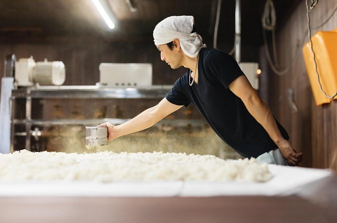 Sake Heritage Nagoya Brewer’s Insights and Tastings tour - Who will enjoy this experience most?