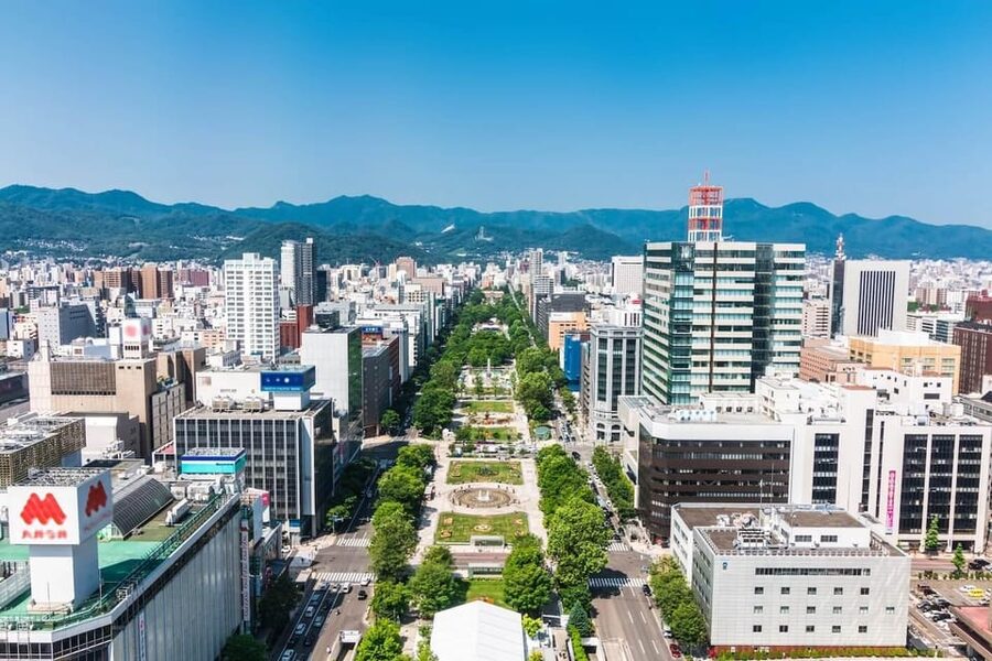 Sapporo: Buddha Hill, TV Tower, and Sake Stand Bar Tour - Key points at a glance