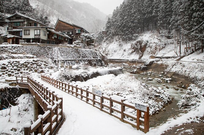 Snow Monkey, Zenko Ji Temple, Sake in Nagano Tour - Lunch at Monzen Terrace Enya