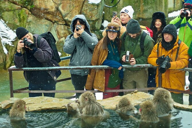 Snow Monkeys, Hokusai & Sake: A Perfect Day in Nagano - Why this Nagano day works so well