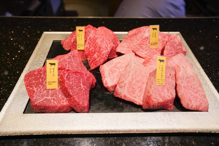 Wagyu Beef & Sake Pairing Foodie Tour in Tokyo - Practical tips before you book
