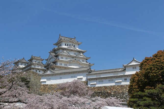 World Heritage Himeji Castle & Sake Breweries Private Tour - Nadagiku Shuzo and the sake tasting