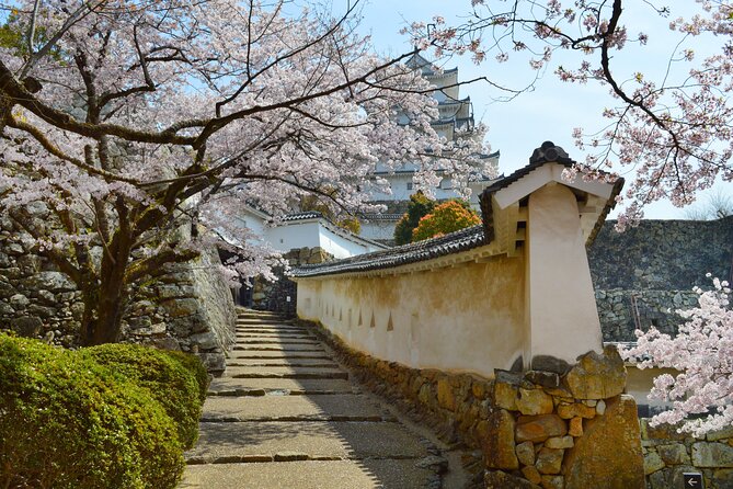World Heritage Himeji Castle & Sake Breweries Private Tour - Who should book this Himeji experience?